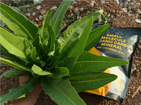 礦源黃腐酸鉀，拉姆拉，翠姆