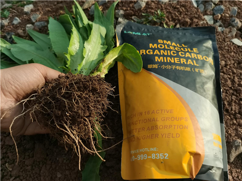 礦源黃腐酸鉀，拉姆拉，翠姆