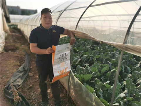 大量元素水溶肥，拉姆拉，翠姆