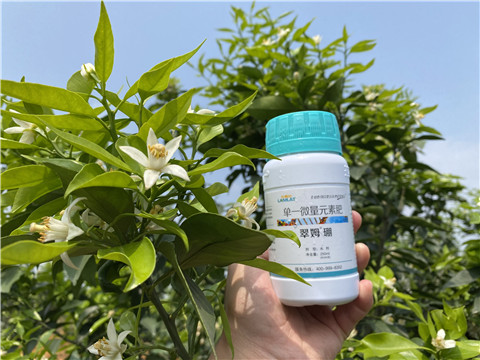 硼肥，拉姆拉，翠姆