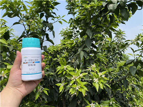 硼肥，拉姆拉，翠姆