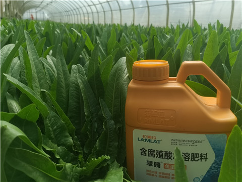 水溶肥，翠姆，拉姆拉