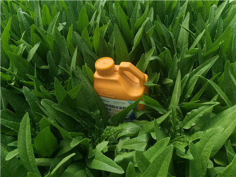 水溶肥，翠姆，拉姆拉