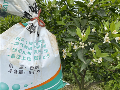 水溶肥，翠姆，拉姆拉