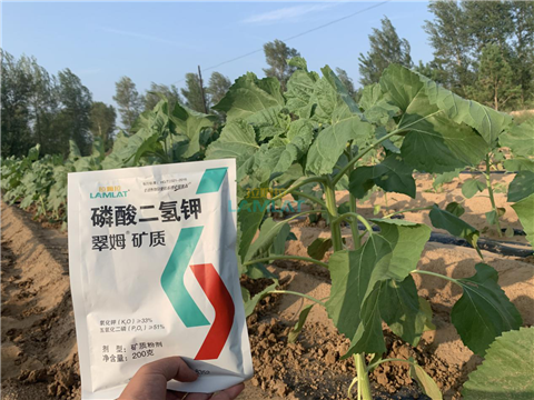 水溶肥，翠姆，拉姆拉