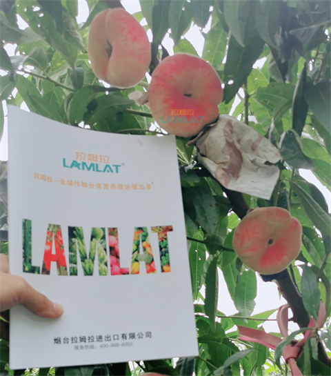 水溶肥，翠姆，拉姆拉