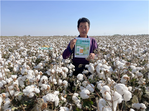 水溶肥，翠姆，拉姆拉