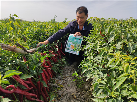水溶肥，翠姆，拉姆拉