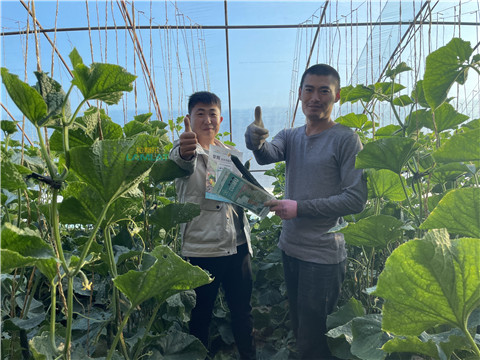 水溶肥，翠姆，拉姆拉