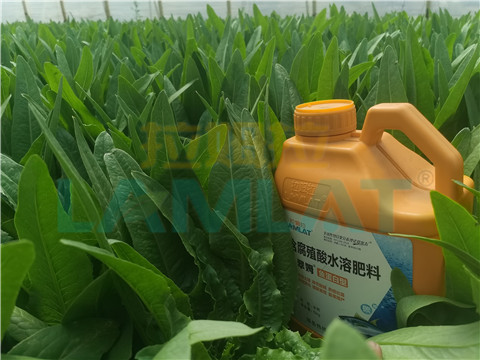 水溶肥，翠姆，拉姆拉