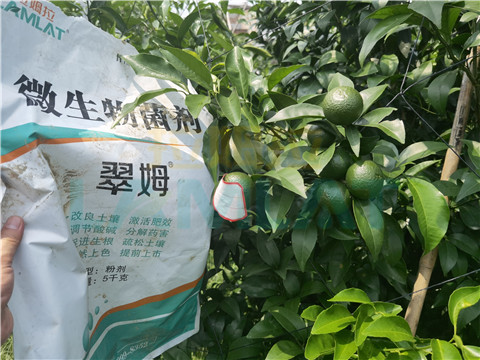 微生物菌劑，翠姆，拉姆拉