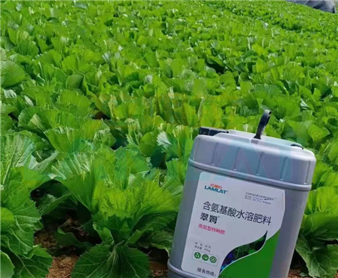 水溶肥，翠姆，拉姆拉