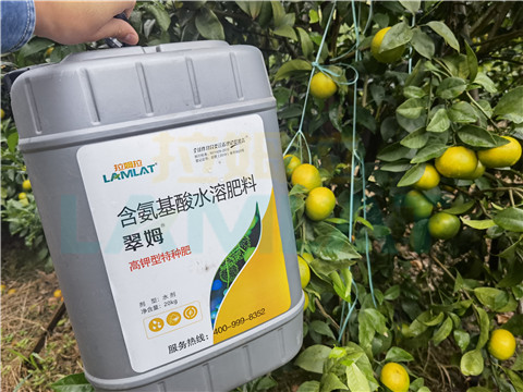 水溶肥，拉姆拉，翠姆