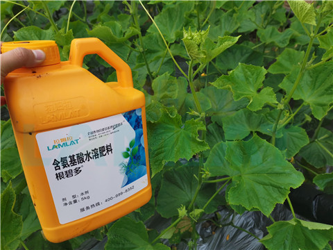 水溶肥，拉姆拉，翠姆