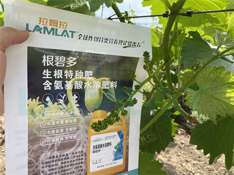 水溶肥，拉姆拉，翠姆