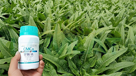 水溶肥，拉姆拉，翠姆