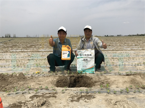 水溶肥，拉姆拉，翠姆