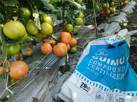 水溶肥，拉姆拉，翠姆