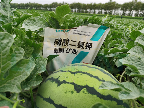 水溶肥，拉姆拉，翠姆