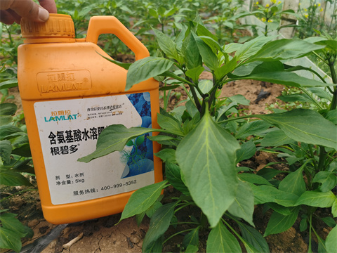 水溶肥，翠姆，拉姆拉