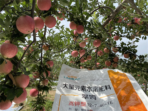 水溶肥價(jià)格,翠姆,蘋(píng)果種植