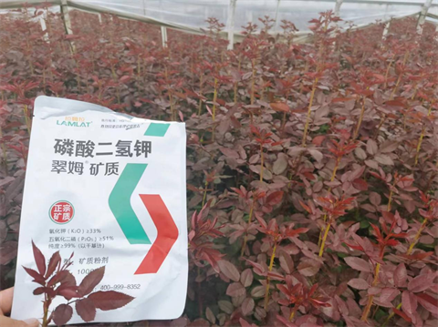 磷酸二氫鉀,翠姆,花卉水溶肥 磷酸二氫鉀,翠姆,花卉水溶肥