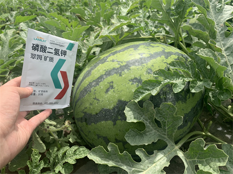 水溶肥,翠姆,拉姆拉 水溶肥,翠姆,拉姆拉