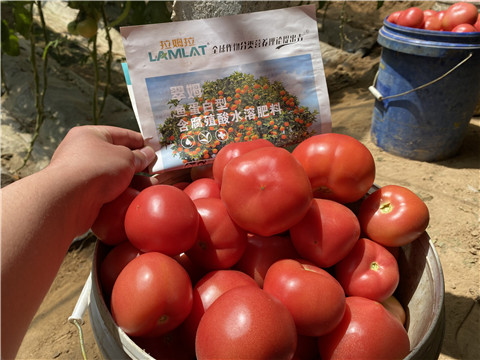 水溶肥品牌,翠姆,西紅柿水溶肥 水溶肥品牌,翠姆,西紅柿水溶肥