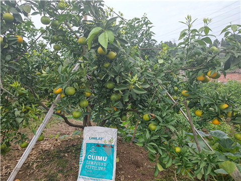 顆粒水溶肥,翠姆,拉姆拉 顆粒水溶肥,翠姆,拉姆拉