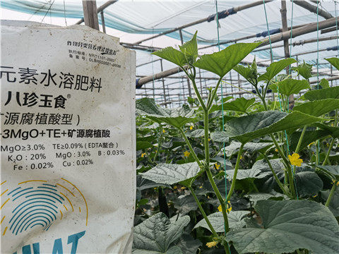 水溶肥,翠姆,拉姆拉水溶肥 水溶肥,翠姆,拉姆拉水溶肥