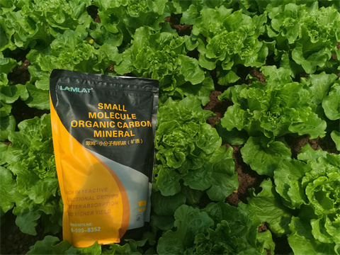 水溶肥,翠姆，蔬菜水溶肥