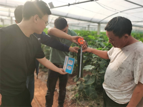 水溶肥,翠姆,拉姆拉 水溶肥,翠姆,拉姆拉