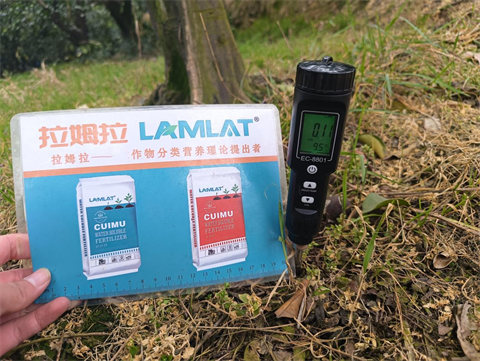 進(jìn)口水溶肥,柑橘種植,拉姆拉滴灌級特種肥