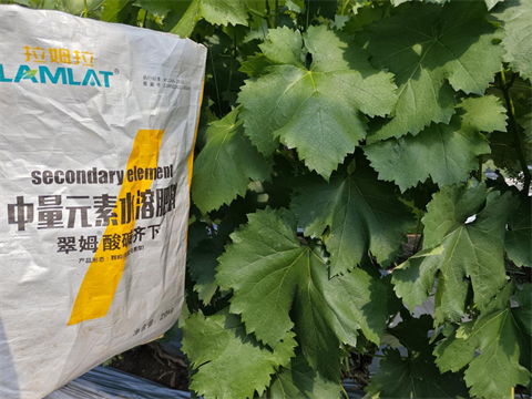 水溶肥,中微量元素,翠姆酸堿齊下