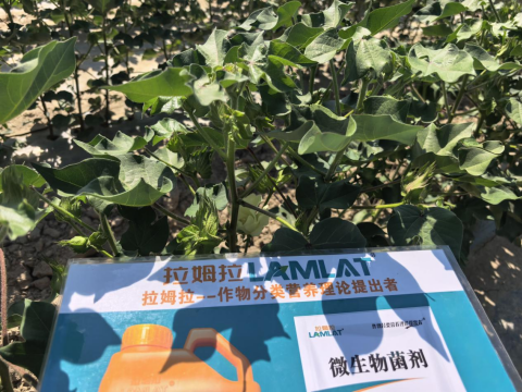 水溶肥品牌,棉花種植,拉姆拉滴灌級(jí)特種肥