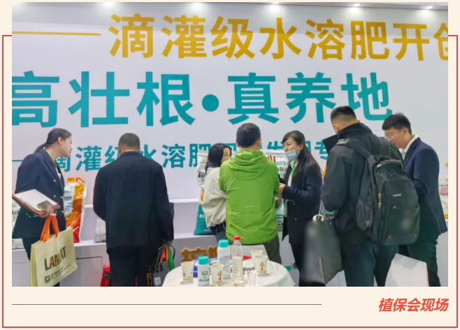 全國(guó)植保會(huì),水溶肥廠家,拉姆拉滴灌級(jí)特種肥